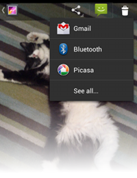 Figure 1. The ShareActionProvider in the Gallery app. actionbar-shareaction.png